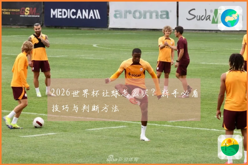 2026世界杯让球怎么买？新手必看技巧与判断方法
