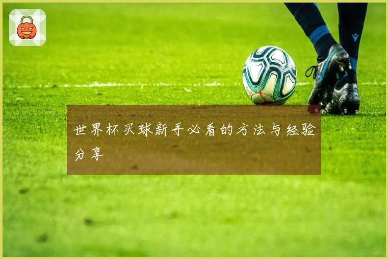 世界杯买球新手必看的方法与经验分享