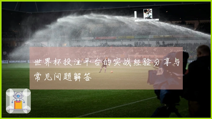 世界杯投注平台的实战经验分享与常见问题解答