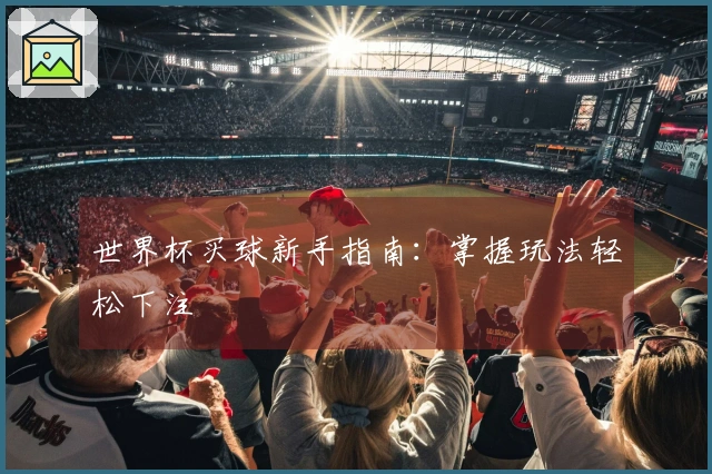 世界杯买球新手指南：掌握玩法轻松下注