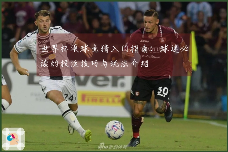 世界杯滚球竞猜入门指南：球迷必读的投注技巧与玩法介绍