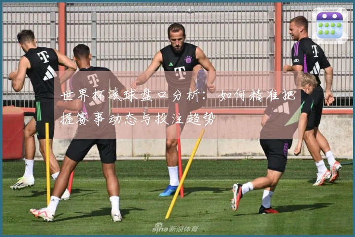 世界杯滚球盘口分析：如何精准把握赛事动态与投注趋势