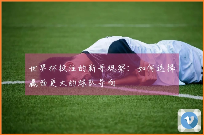 世界杯投注的新手观察：如何选择赢面更大的球队导向