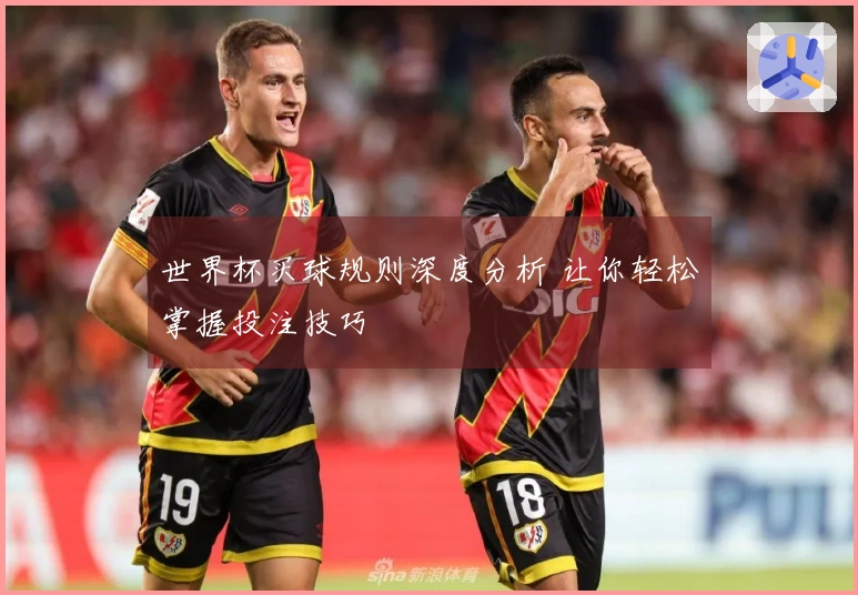 世界杯买球规则深度分析 让你轻松掌握投注技巧