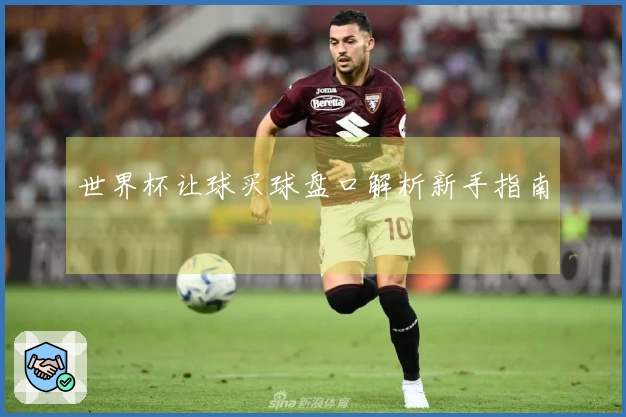 世界杯让球买球盘口解析新手指南