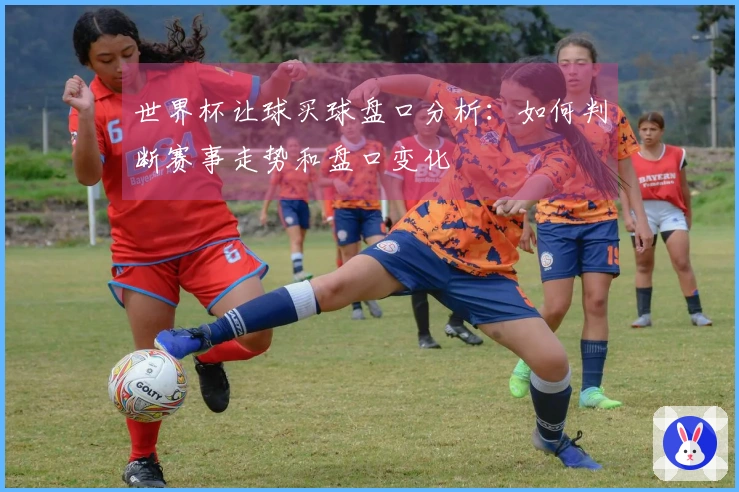 世界杯让球买球盘口分析：如何判断赛事走势和盘口变化