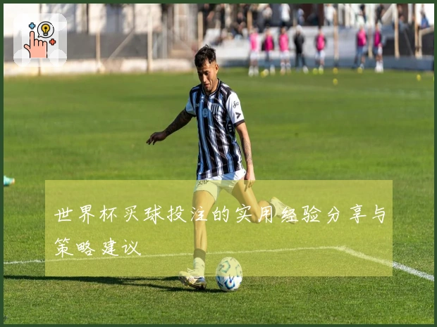 世界杯买球投注的实用经验分享与策略建议