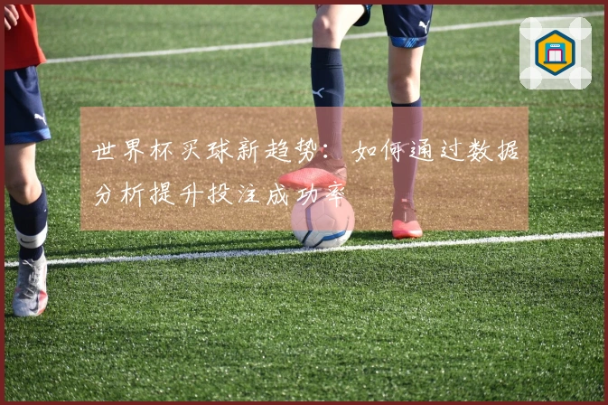 世界杯买球新趋势：如何通过数据分析提升投注成功率