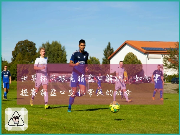 世界杯买球竞猜盘口解析：如何掌握赛前盘口变化带来的机会