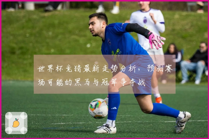 世界杯竞猜最新走势分析，预测赛场可能的黑马与冠军争夺战