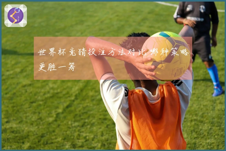 世界杯竞猜投注方法对比 哪种策略更胜一筹