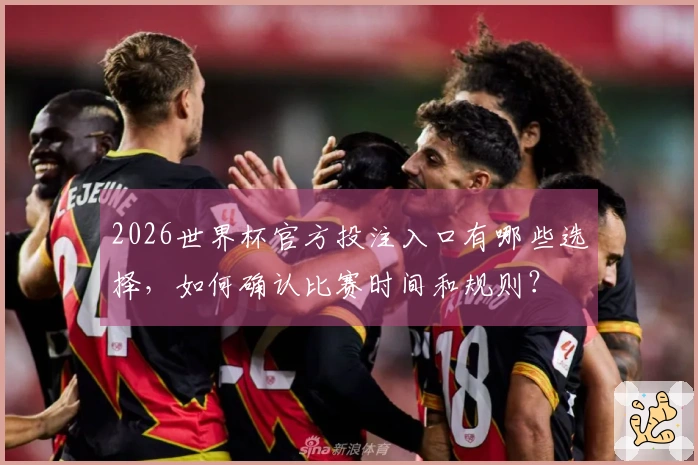 2026世界杯官方投注入口有哪些选择，如何确认比赛时间和规则？