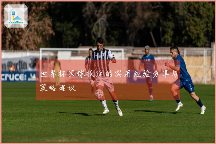 世界杯买球投注的实用经验分享与策略建议