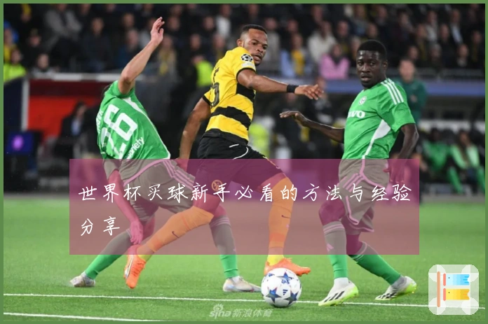世界杯买球新手必看的方法与经验分享